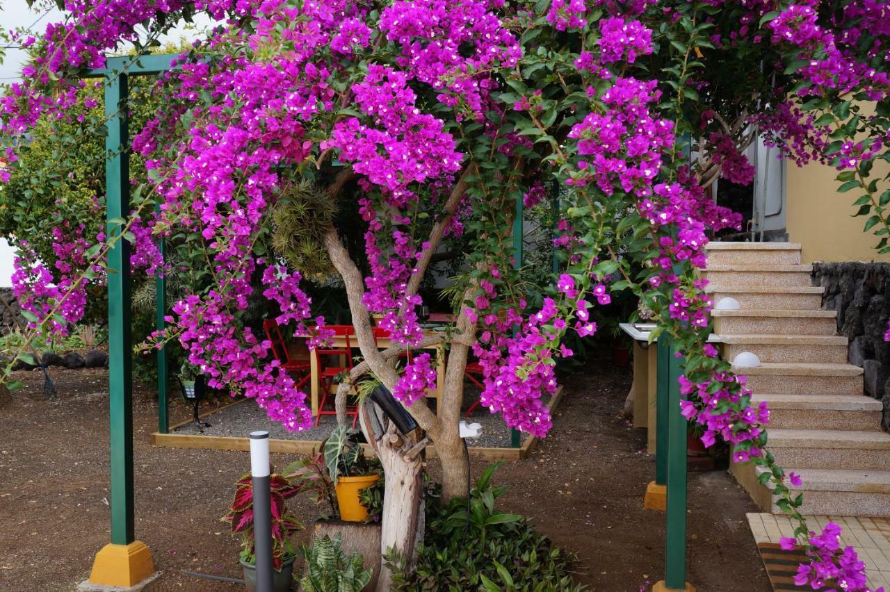 فيلا Casa Aloe إل باسو المظهر الخارجي الصورة